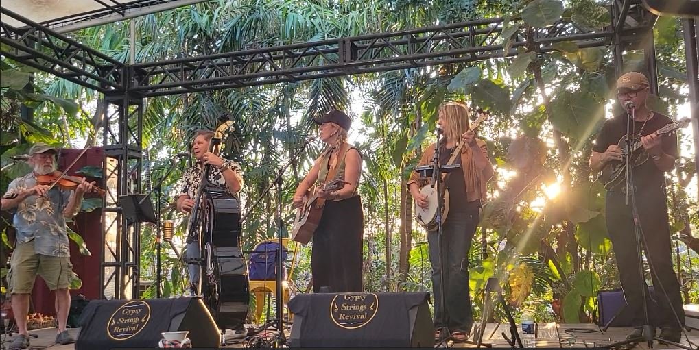 Gypsy Strings Revival